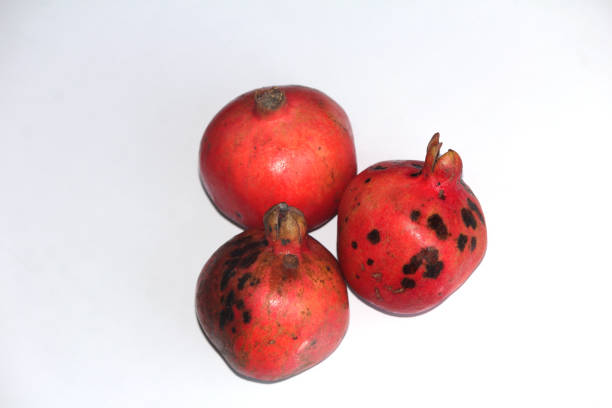 healthy fresh sweet pomegranate isolated on white background