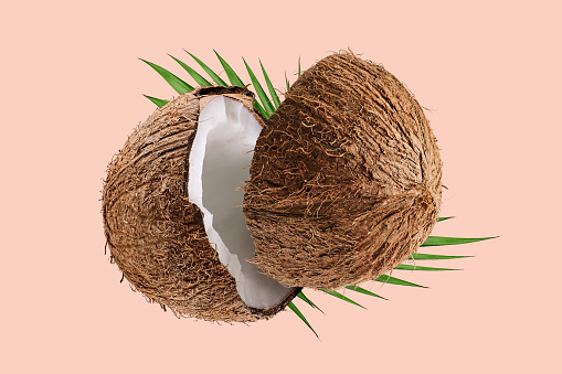 Coconut break with leaves on pastel pink background