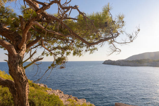 istock Romantic seashore scenery on the Lycian Way. Turkey 1352866350