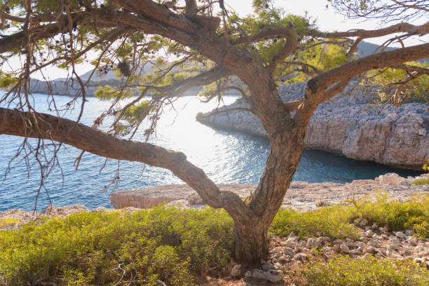 istock Romantic seashore scenery on the Lycian Way. Turkey 1352866602