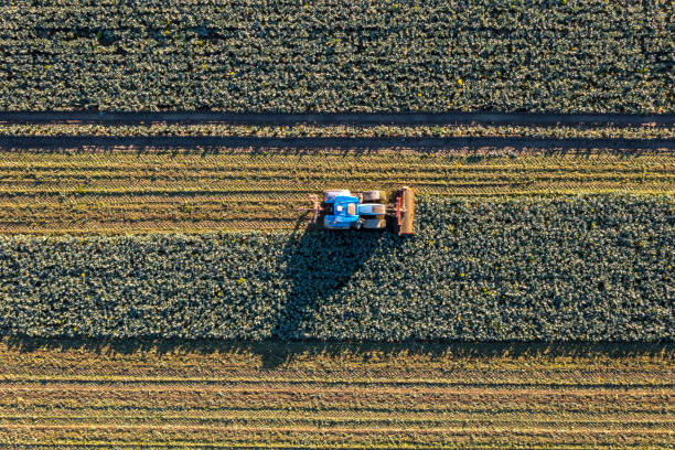 istock Tractor cultivating field, view from above 1352867562