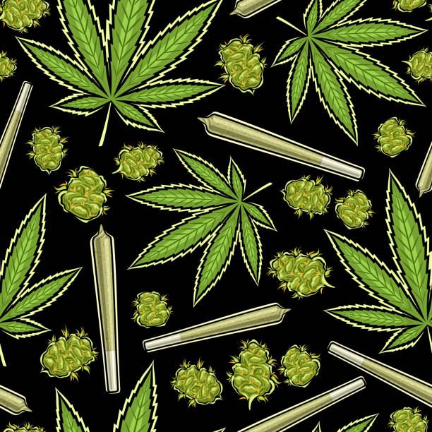 illustrations, cliparts, dessins animés et icônes de vector marijuana seamless pattern - leaf dry backgrounds nobody