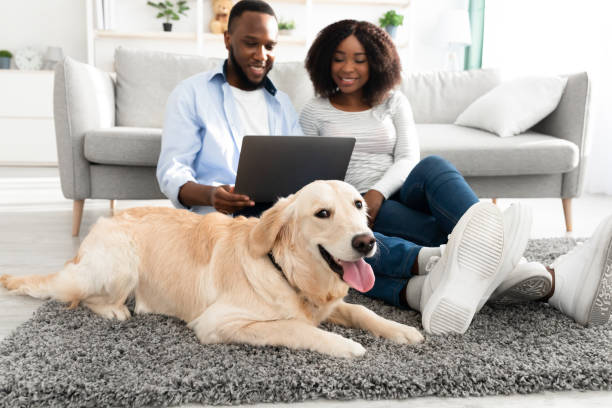 istock Black couple at home using pc laptop relaxing with dog 1352871628
