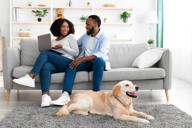 istock Black couple at home using pc relaxing with dog 1352871712
