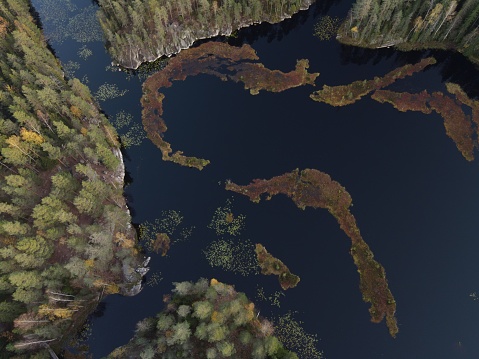Nuuksio nature reserve, Espoo, Finland\nNational Finnish reserve, autumn colors. Lake with island