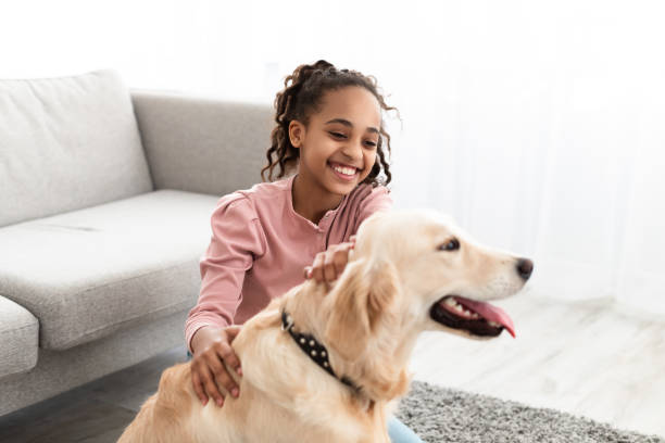 Young black girl playing with dog in living room