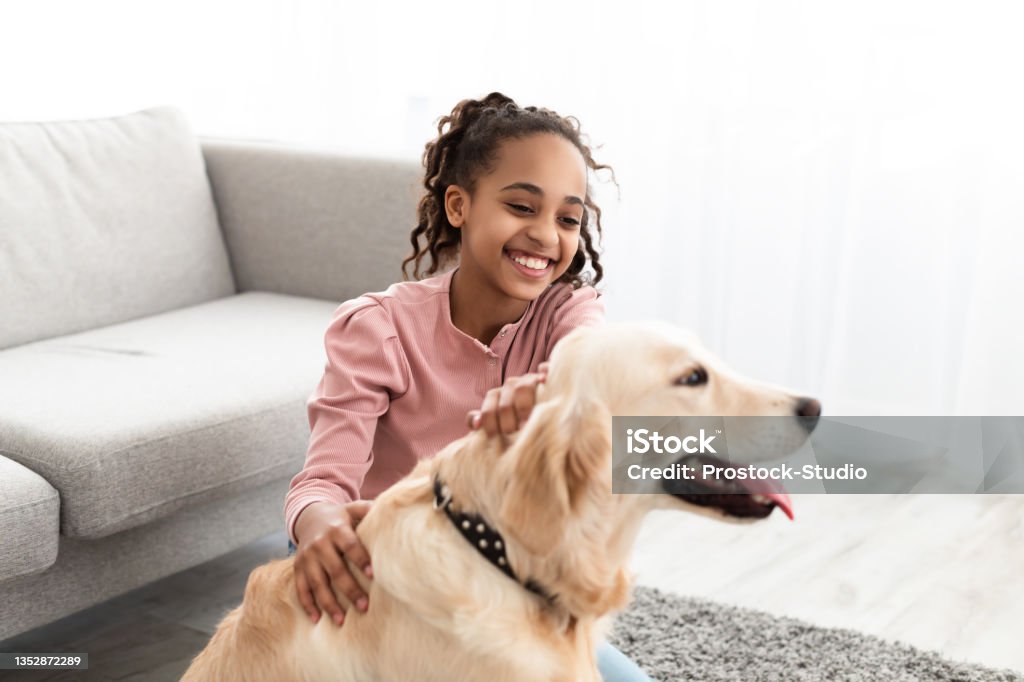 Young black girl playing with dog in living room Funny little African American girl sitting on floor having fun with dog, scratching and stroking family pet, kid laughing and entertaining with domestic animal, playing with labrador at home Child Stock Photo