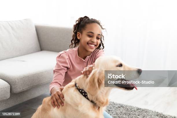Young Black Girl Playing With Dog In Living Room Stock Photo - Download Image Now - Child, Petting, Dog