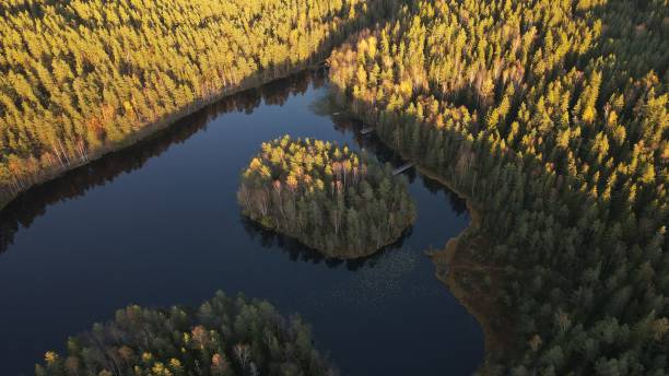 природный заповедник nuuksio, эспоо, финляндия в осенних красках - cross autumn sky beauty in nature стоковые фото и изображения
