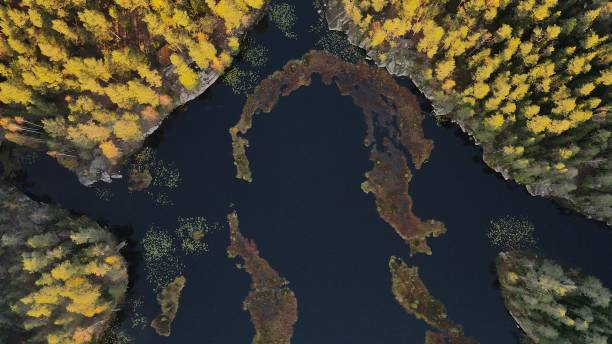 reserva natural nuuksio, espoo, finlandia en colores otoñales - cross autumn sky beauty in nature fotografías e imágenes de stock