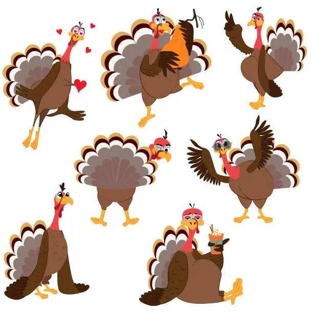 Vector illustration of Funny Thanksgiving Turkey bird cartoon character Set vector illustration