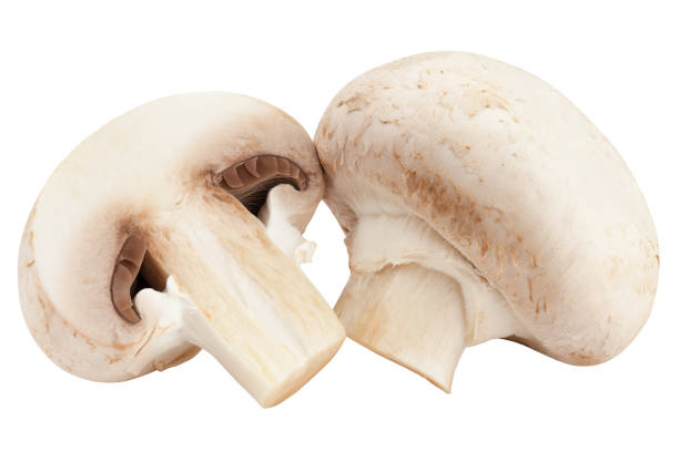 istock champignon, mushroom, isolated on white background, clipping path, full depth of field 1352875867