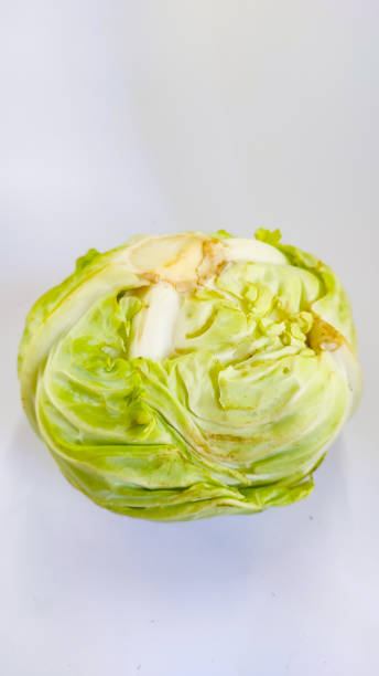 istock Raw cabbage - stock photo 1352876458
