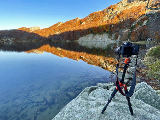 istock Taking photos at sunset during foliage with professional camera 1352878257