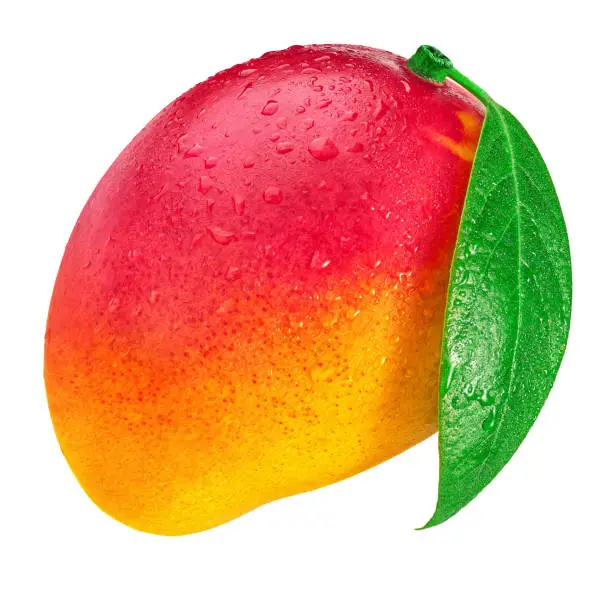 Photo of Mango fruit with drops isolated on white background