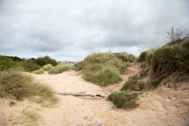 Dramatic sky is seen through the opening of a dune fence