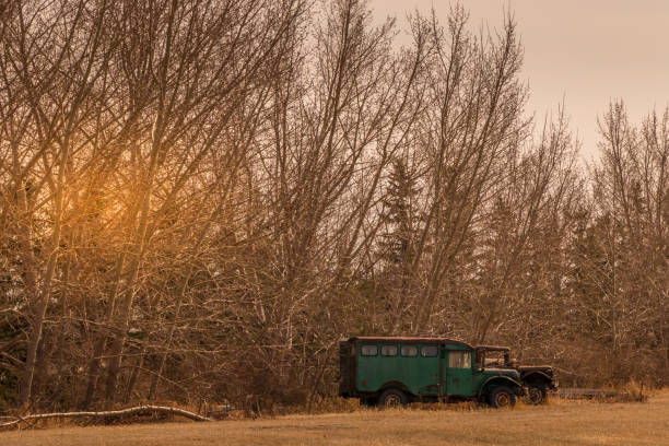 istock Farmers fields in the early morning light Keoma Alberta Canada 1352887965