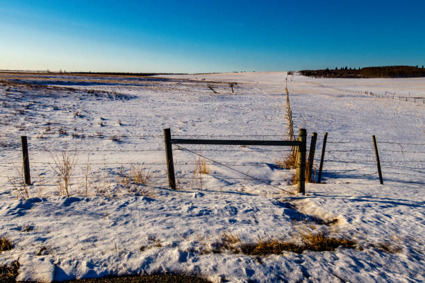 istock Fence line in a snowy field. Springbank, Alberta, Canada 1352888129