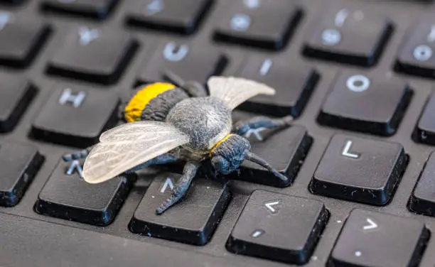 A close up of a toy bee placed on the keys of a computer keyboard