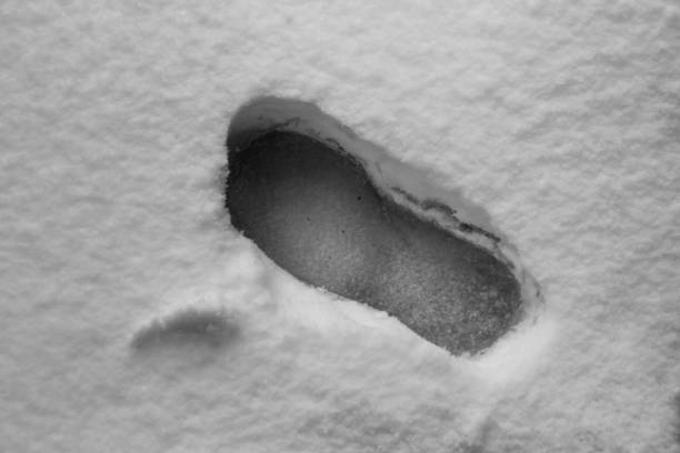 Picture of an isolated footprint on the snowy ground in december
