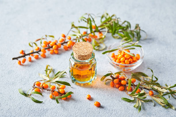 Glass bottle with sea buckthorn oil, berries and branches of sea buckthorn on light background Glass bottle with sea buckthorn oil, berries and branches of sea buckthorn on light background. healthcare fitness and herbal medicine banner set stock pictures, royalty-free photos & images