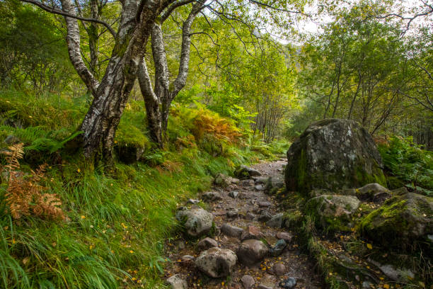 Pathway enroute to Steall Falls in the Highlands of Scotland, UK A rugged path in the Nevis Gorge en-route to Steall Waterfall, Steall Falls, in the Highlands of Scotland. fort william stock pictures, royalty-free photos & images