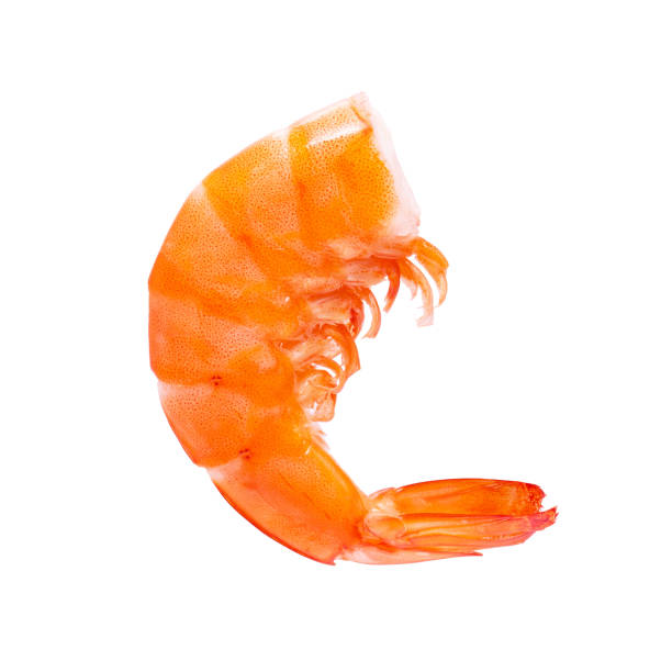 istock Prawn or shrimp isolated on white background 1352894732