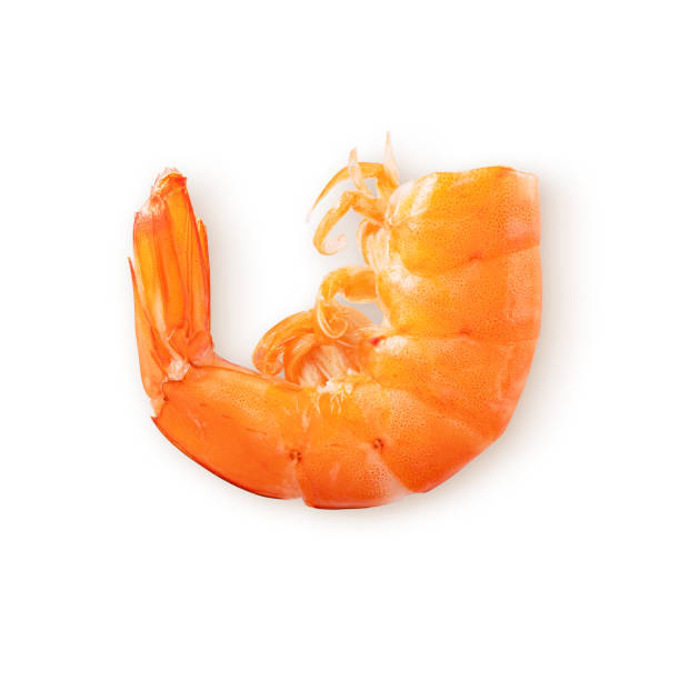 istock Prawn or shrimp isolated on white background 1352894754