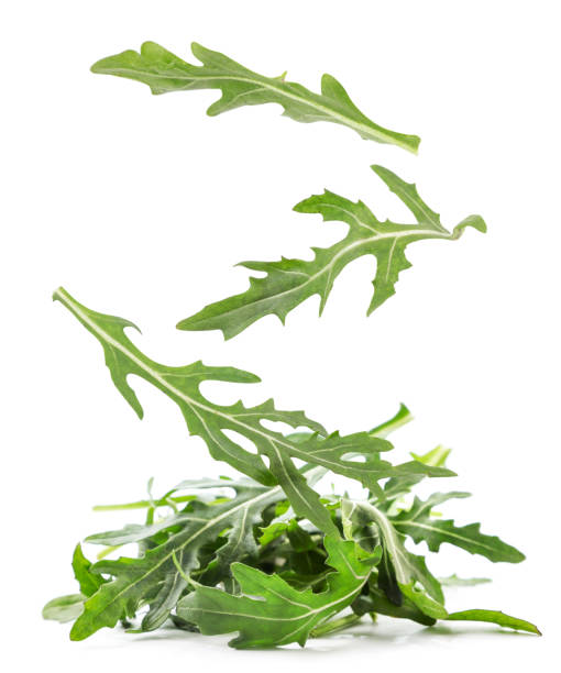 Arugula falling on a heap on a white background, levitating arugula. Isolated Arugula falling on a heap close-up on a white background, levitating arugula. Isolated arugula falling stock pictures, royalty-free photos & images
