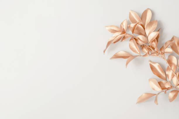 istock Gold tropical palm leaves Monstera on white background. Flat lay 1352901285