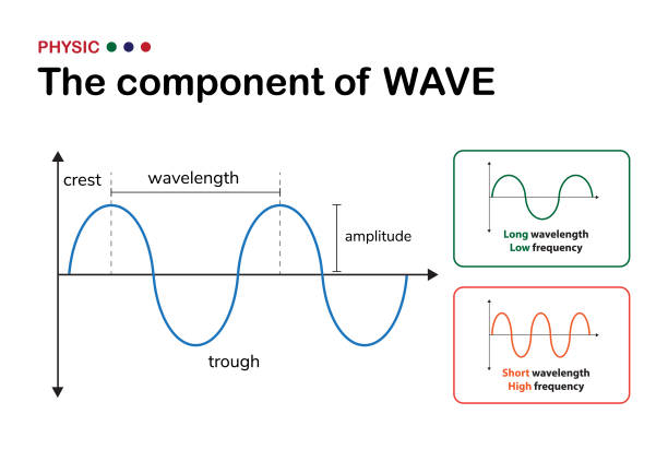 ilustrações de stock, clip art, desenhos animados e ícones de physic illustration show component of wave - length