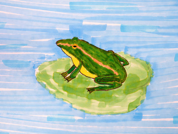 istock A green frog on a water lily leaf in a pond. Child hand drawing made by color markers. 1352904453
