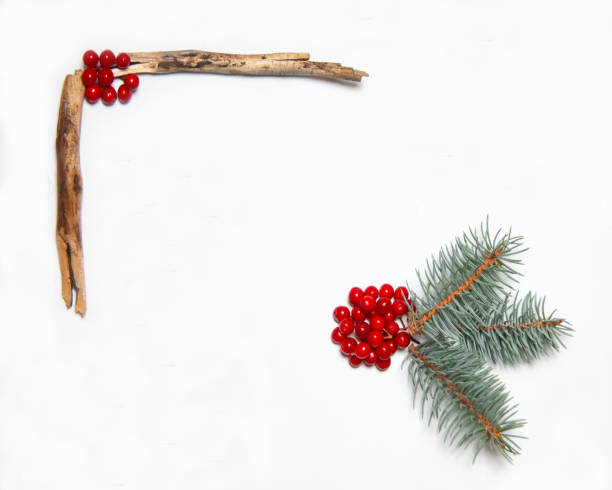 istock Nature inspired Christmas background 1352906435