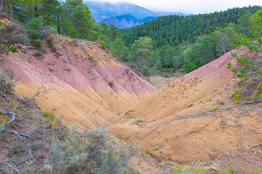Purple cays eroded in the field, near Pedraforca Mountains. Lacustrine deposits, Garumnian.