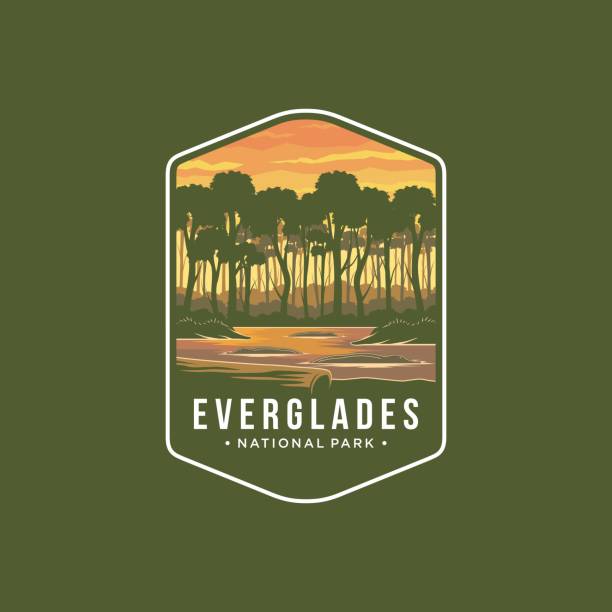 ilustraciones, imágenes clip art, dibujos animados e iconos de stock de ilustración del icono del emblema del parque nacional de los everglades - parque nacional everglades