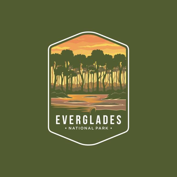 bildbanksillustrationer, clip art samt tecknat material och ikoner med everglades national park emblem patch icon illustration - gulf coast states