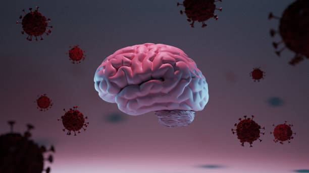 3D Render of Brain stock photo