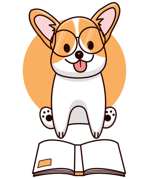 słodki pies corgi czytający książkę - humor pets loving vertical stock illustrations