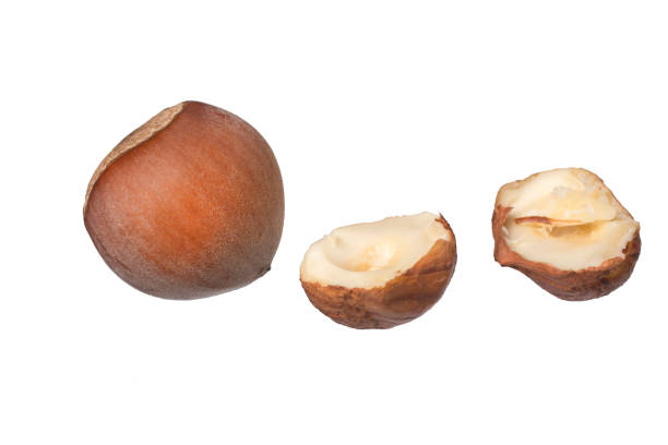 istock Whole and chopped hazelnut isolated on white background. 1352917360
