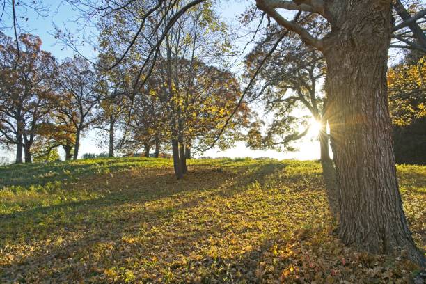istock Appleton Farm in late autumn colors 1352917749