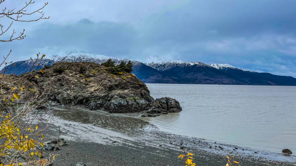 istock Shoreline of Beluga Point in Alaska 1352917755