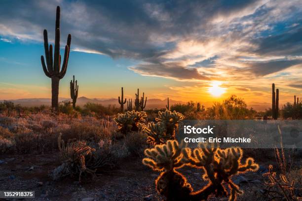 Saguaro Sunset Silhouette 72 Stock Photo - Download Image Now - Arizona, Desert Area, Scottsdale - Arizona