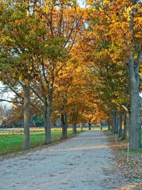 istock Appleton Farm in late autumn colors 1352918386
