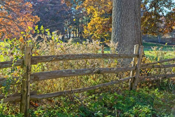 istock Appleton Farm in late autumn colors 1352918750