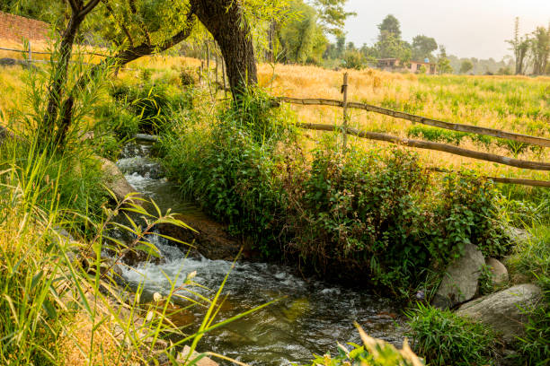 istock Various views of Palampur, Himachal 1352918757