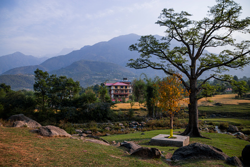 Palampur is a hill station in India’s northern state of Himachal Pradesh. It’s known for its tea gardens like the Palampur Cooperative Tea Factory, which also processes the leaves.