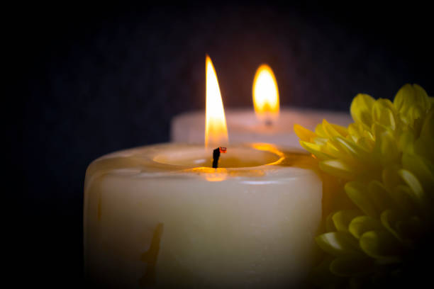 istock chrysanthemum flower candle on a dark background 1352919796