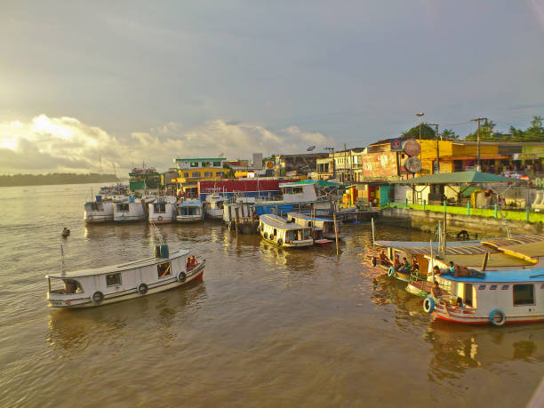 istock Amazon river view, Breves town by the river, Brazil, South America 1352919901