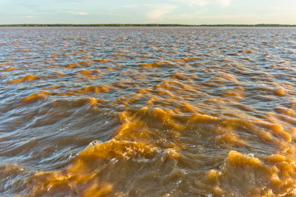 istock Amazon river, Sunset view, Brazil, South America 1352920093