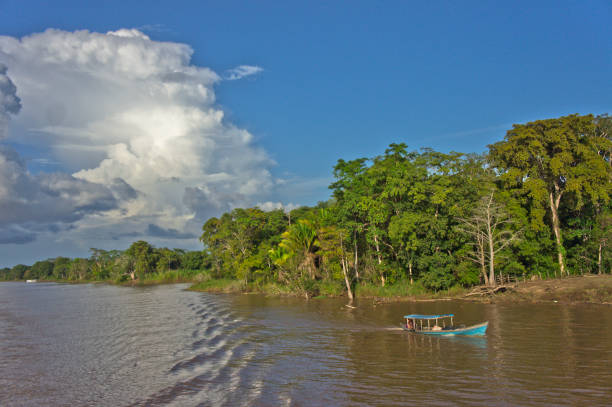 istock Amazon river view, Brazil, South America 1352920098